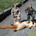 WHAT GROWN MEN DO WITH ACTION FIGURES