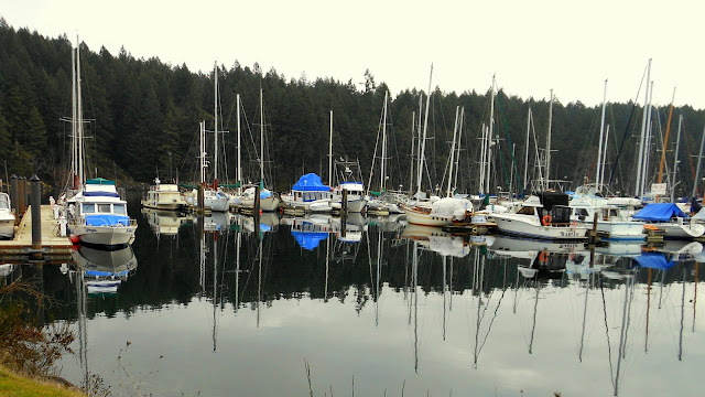 Reflection of a Nanaimo marina (2012-02-15)