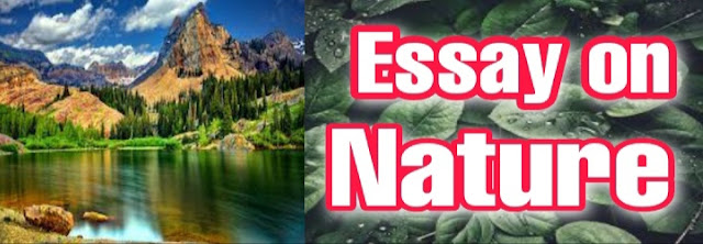 Essay on Nature