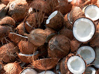 Cabinet nod to import frozen coconut kernels