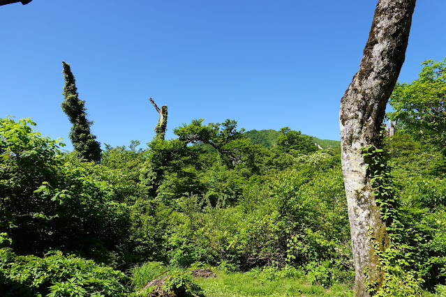 鳥取県西伯郡大山町大山　大休峠避難小屋