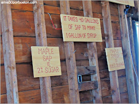 Maple Sugar Season en Massachusetts: Sugar House de Hollis Hills Farm