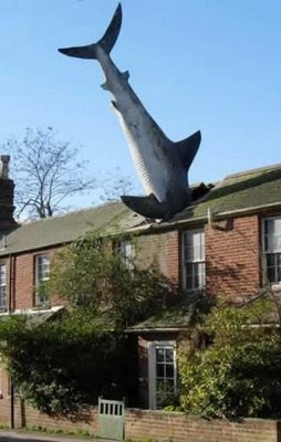 The Shark, Headington