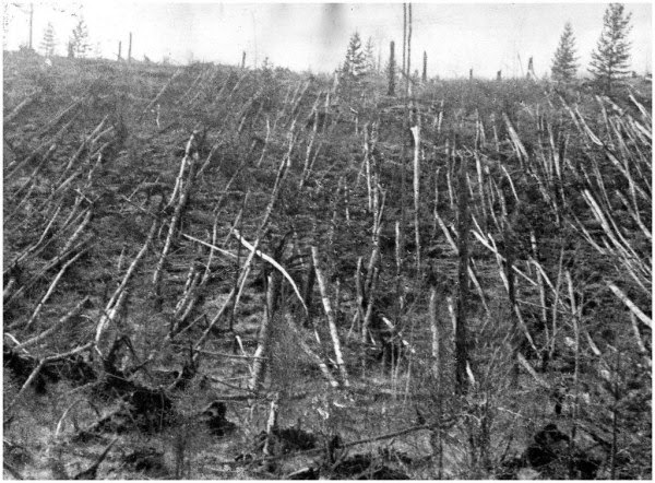 Ultimate Collection Of Rare Historical Photos. A Big Piece Of History (200 Pictures) - The Tunguska Meteor Impact
