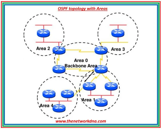 OSPF @www.thenetworkdna.com
