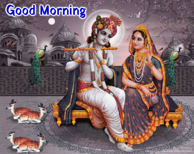 good morning radha krishna