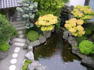 Minimalist Simple Fish Pond With Koi Fish