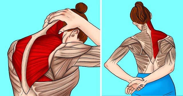 6 Super Easy Stretches To Relieve Stiff Neck and Shoulder Tension
