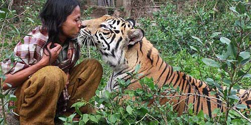 Foto Abdullah Sholeh dan macan bernama Mulan