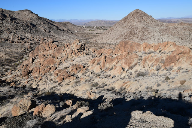 Joshua Tree National Park