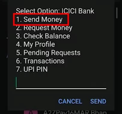 Send Money