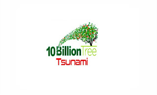Ten Billion Tree Tsunami Project Peshawar Jobs 2021