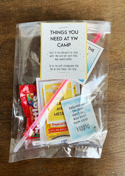 Cello bag with yw camp survival kit