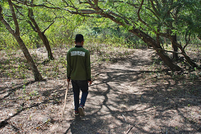 Ranger caminando