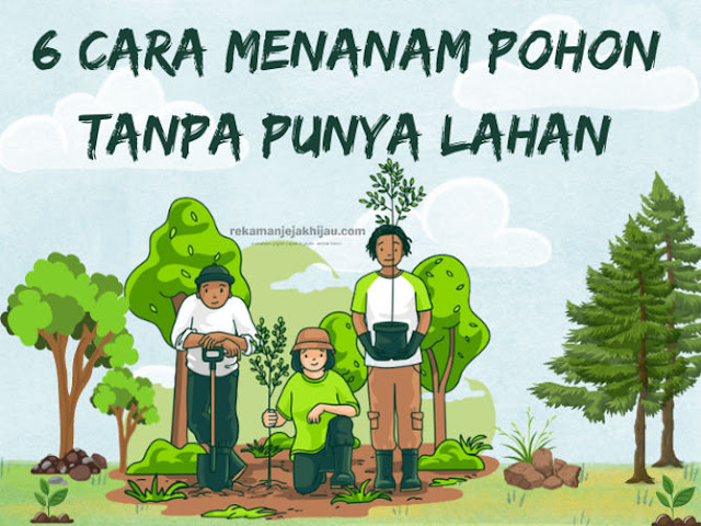 6 cara menanam pohon di lahan terbatas