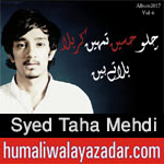 http://www.humaliwalayazadar.com/2016/06/syed-taha-mehdi-nohay-2013-to-2017.html