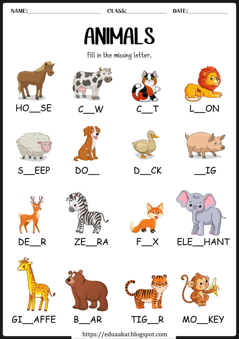 Animals worksheets