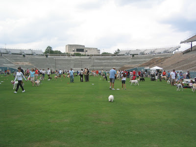 Like one GIANT dog park…