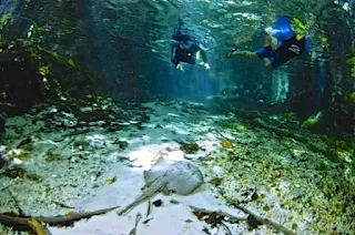 Imagen subacuática con un turista buceando en las transparentes aguas del rio con una visibilidad limpia, se aprecia el fondo, la vegetación y la fauna subacuática.