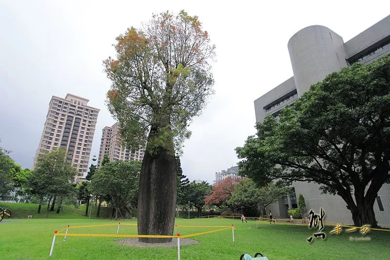 九號碼頭海鮮熱炒|國立自然科學博物館