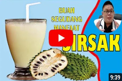 https://keranjangkesehatan.gankoko.com/2021/01/manfaat dan jenis buah sirsak.html