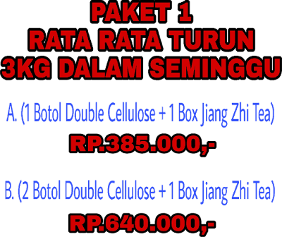 harga paketan teh pelangsing tubuh tiens 1