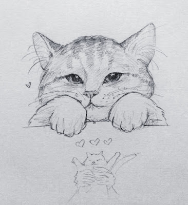 Cat Drawing Easy