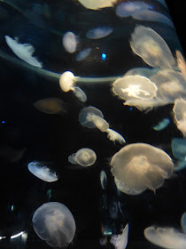 aquarium Kaiyukan à Osaka Japon