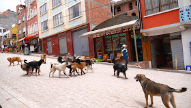 Shopping at Copacabana, Lake Titicaca, Bolivia