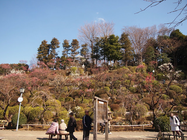 池上梅園