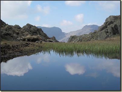 1907tarn
