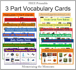 Free Printable Montessori 3 Part Vocabulary Cards