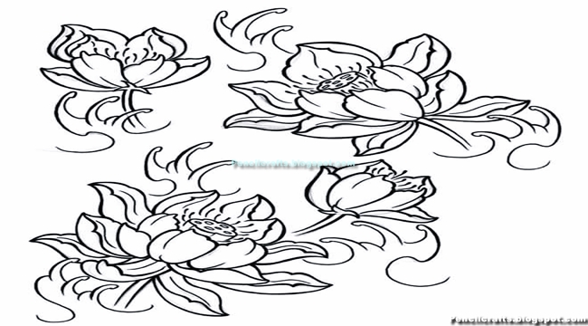 3d Pencil Drawings Of Flowers