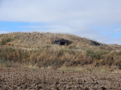 En mitad de la ladera, con una vegetación pobre y sin árboles, se abren las puertas de las bodegas sin ninguna 