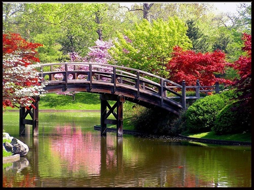Spring