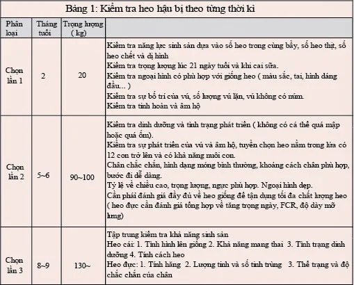 Bảng kiểm tra heo hậu bị từng thời kỳ.