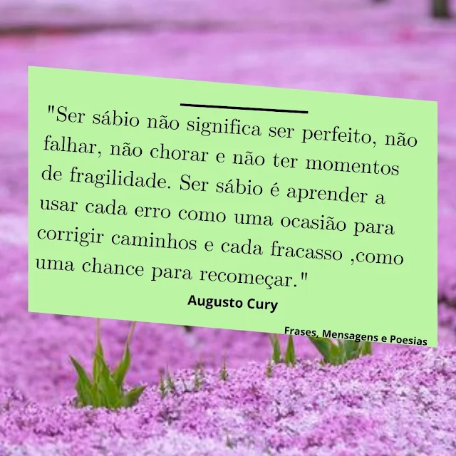 "Ser Sábio não significa ser perfeito, não falhar, não chorar e não ter momentos de fragilidade. Ser Sábio é aprender a usar cada erro como uma ocasião para corrigir caminhos e cada fracasso, como uma chance para Recomeçar."  Augusto Cury