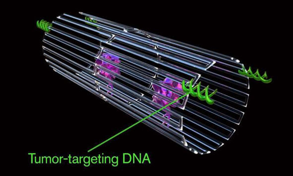 Scientists Created The First Nanorobots Programmed To Shrink Cancer Tumors