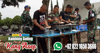 Jual Kambing Guling Buahbatu,Kambing Guling Buahbatu,Jual Kambing Guling,Kambing Guling,