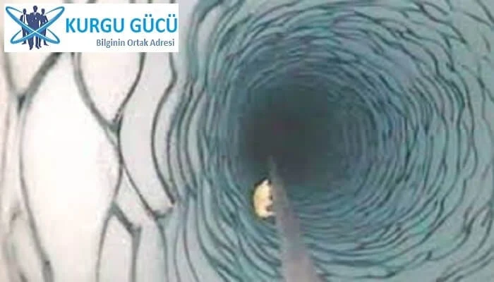 Antartika'da NASA'yı Bile Şaşırtan Buzulun Altındaki Canlı - Kurgu Gücü