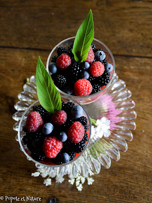 Crème au tofu soyeux et fruits rouges (sans lait) © Popote et Nature