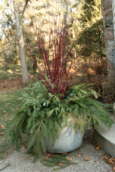 Xmasoutside2