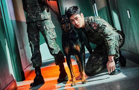 Series: Military Prosecutor Doberman Season 1 (2022) Korean Complete Episodes 