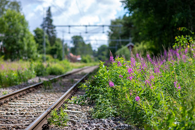 järnvägsspår rallarros