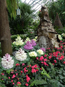 2018 Allan Gardens Conservatory Winter Flower Show massed red azaleas and ornamental cabbage by garden muses--not another Toronto gardening blog