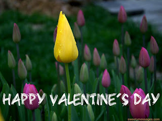 valentines day images,