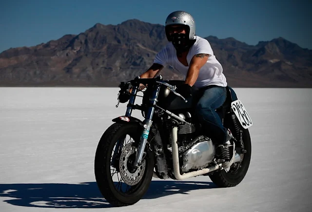 Salt Triumph