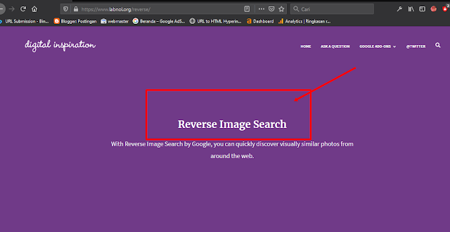 tampilan situs web reverse photos