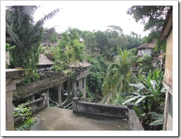 0971 Indonésia - Bali - Ubud