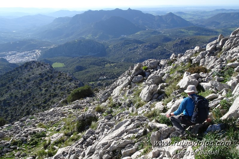 Caillo - Cintillo desde Benaocaz